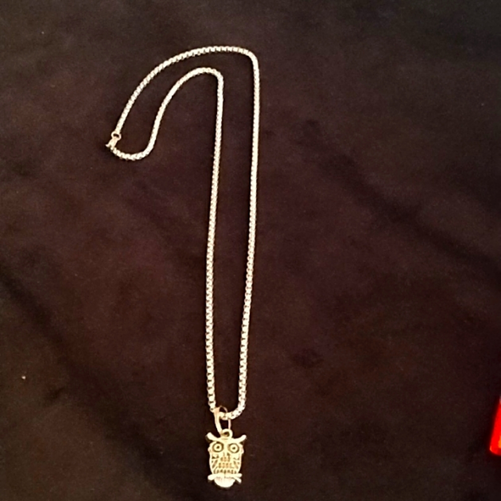 Silvertone 22"Necklace w/pendant